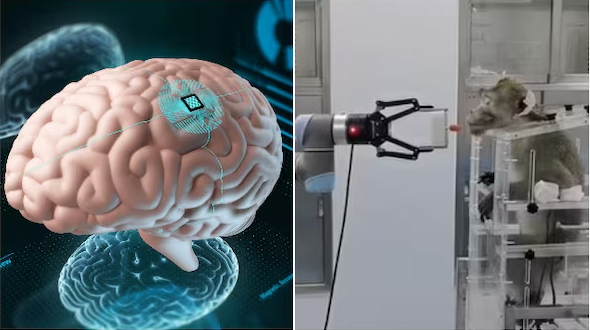Chinese Scientists Develop World’s First Open-Source Brain-on-Chip Interface System
