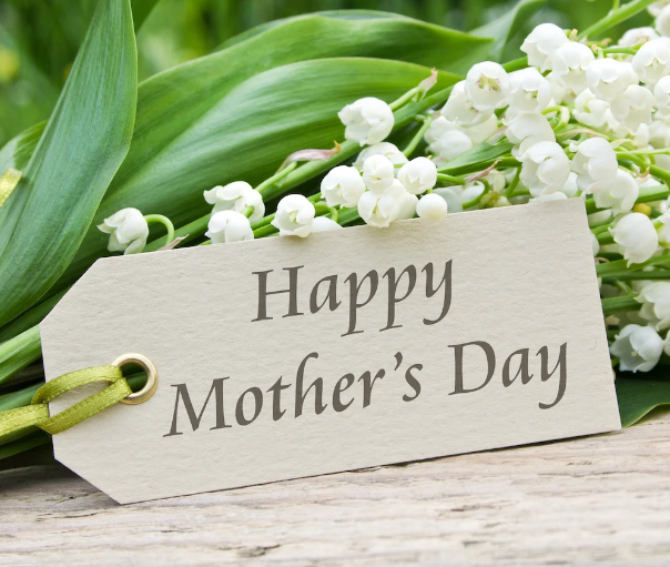 Gilo Company Limited Celebrates Motherhood: Happy Mother’s Day!
